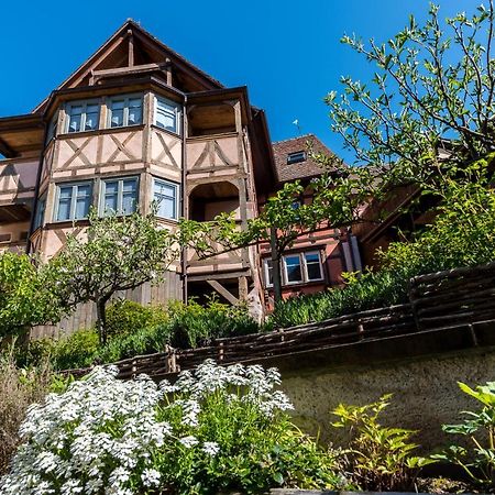 Remparts De Riquewihr - Le Petit Loup Lägenhet Exteriör bild